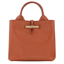 Load image into Gallery viewer, Longchamp Le Roseau Sleek Top Handle Handbag Small Bark
