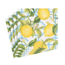 Load image into Gallery viewer, cocktail napkins in a stack