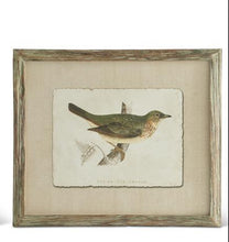 Load image into Gallery viewer, Patina Bois Wood Framed Bird