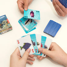 Load image into Gallery viewer, 3D Playing Cards