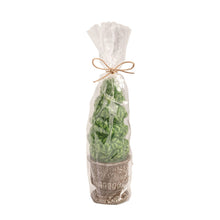 Load image into Gallery viewer, Topiary Candle twirl