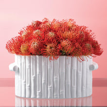 Load image into Gallery viewer, Faux Bamboo Oval Centerpiece / Cachepot with Handles with flowers