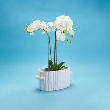 Load image into Gallery viewer, Faux Bamboo Oval Centerpiece / Cachepot with Handles with orchids