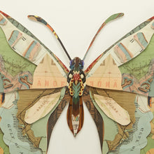 Load image into Gallery viewer, Butterfly Paper Collage Wall Art - Assorted Styles