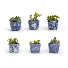 Load image into Gallery viewer, Canton Collection Mini Cachepot - Single