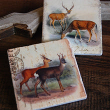 Load image into Gallery viewer, Vintage Deer Stone Coasters - Single