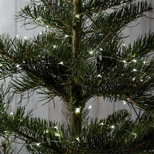 Load image into Gallery viewer, Starlight Led Wire String Lights on a tree