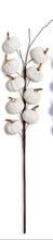 Load image into Gallery viewer, Pumpkin Branch in white