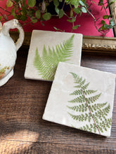 Load image into Gallery viewer, Ferns Stone Coasters - Assorted Fern Designs - Single