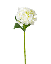 Load image into Gallery viewer, Hydrangea Stems - 27.5"