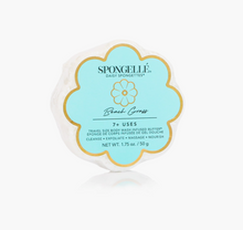 Load image into Gallery viewer, Beach Grass Daisy Spongette