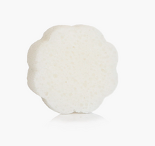 Load image into Gallery viewer, Coconut Verbena Daisy Spongette