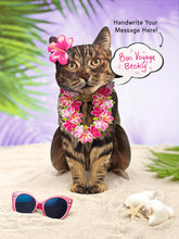 Load image into Gallery viewer, FreshCut Paper Brown Tabby Pop-Up Greeting Card