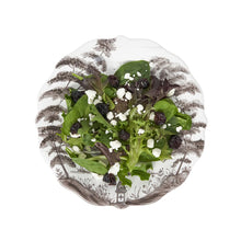 Load image into Gallery viewer, Juliska Country Estate Party Plates Set/4 Spring Gardening Scenes