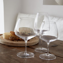 Load image into Gallery viewer, Costa Nova Vite Wine Glass - FINAL SALE