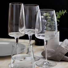 Load image into Gallery viewer, Costa Nova Vine Stemware Glass - Clear - FINAL SALE