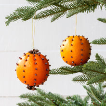 Load image into Gallery viewer, Park Hill Collection Cloved Orange Ornaments