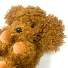 Load image into Gallery viewer, Coco the Doodle Slippers