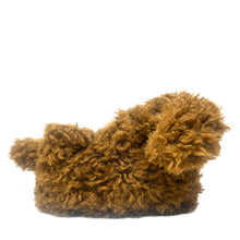 Load image into Gallery viewer, Coco the Doodle Slippers