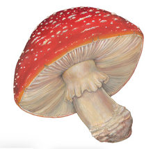 Load image into Gallery viewer, Hester & Cook Die-Cut Mushroom Placemats - Pack of 12