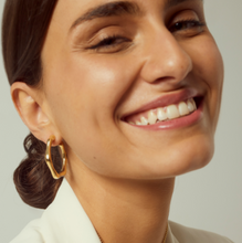 Load image into Gallery viewer, Earrings Gold Plated - E0108