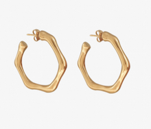 Load image into Gallery viewer, Earrings Gold Plated - E0108