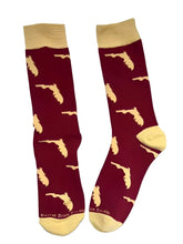 Load image into Gallery viewer, Florida Socks Noles