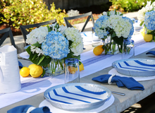 Load image into Gallery viewer, Plate & Pattern Go Team Blue Preformed Plate Liners