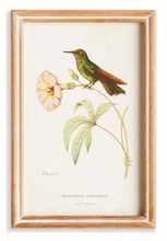 Load image into Gallery viewer, Hummingbirds In Blooms Study