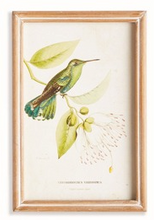 Load image into Gallery viewer, Hummingbirds In Blooms Study
