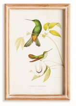 Load image into Gallery viewer, Hummingbirds In Blooms Study