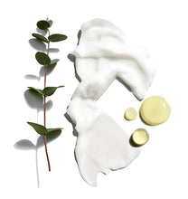 Load image into Gallery viewer, graphic of lotion, Eucalyptus and other ingredients of the Jack Black Beard Lube Conditioning Shave