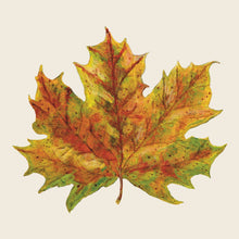 Load image into Gallery viewer, Hester & Cook Fall Foliage Napkins