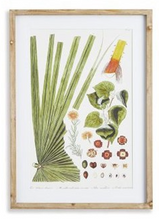 Load image into Gallery viewer, Leaf Botanical Study Art Prints