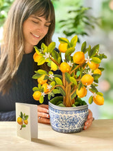 Load image into Gallery viewer, FreshCut Paper Lemon Blossom Tree Pop-Up Greeting Card