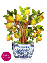 Load image into Gallery viewer, FreshCut Paper Lemon Blossom Tree Pop-Up Greeting Card