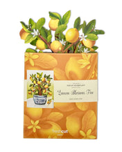 Load image into Gallery viewer, FreshCut Paper Lemon Blossom Tree Pop-Up Greeting Card