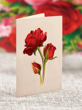 Load image into Gallery viewer, FreshCut Paper Mini Blooming Roses Pop-Up Greeting Card
