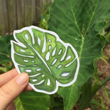 Load image into Gallery viewer, Monstera Leaf Sticker