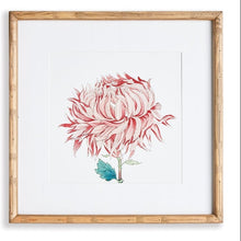 Load image into Gallery viewer, Colorful Chrysanthemum Prints, Assorted Designs