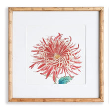 Load image into Gallery viewer, Colorful Chrysanthemum Prints, Assorted Designs