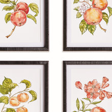 Load image into Gallery viewer, Autumnal Fruit Prints