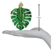 Load image into Gallery viewer, graphic showing the Old World Christmas Monstera Leaf Ornament 4 inch height