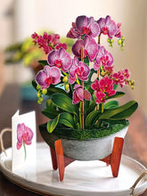 Load image into Gallery viewer, FreshCut Paper Orchid Oasis Pop-Up Greeting Card