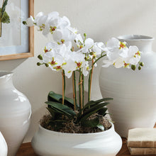 Load image into Gallery viewer, Phalaenopsis Orchid Drop-in - White
