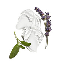 Load image into Gallery viewer, graphic of lotion with lavender and sage
