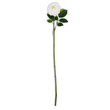 Load image into Gallery viewer, Real Touch Austin Rose Stem, 24"