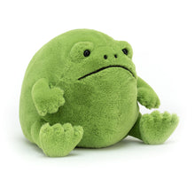Load image into Gallery viewer, Jellycat Ricky Rain Frog Medium