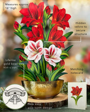 Load image into Gallery viewer, FreshCut Paper Scarlet Amaryllis Pop-Up Greeting Card