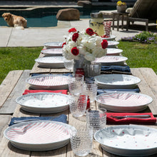 Load image into Gallery viewer, Plate & Pattern Oh Say Can You See Flat Plate Liners